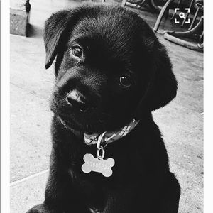 Meet your Posher, Olivia